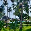 Voorbeeldaccommodatie Zanzibar Paradise Beach palmbomen